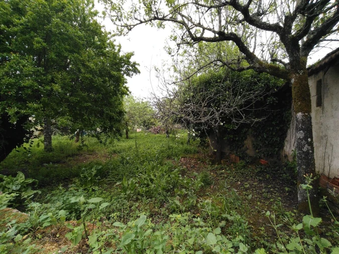 Moradia T5 para Venda em Chãos Foto 63