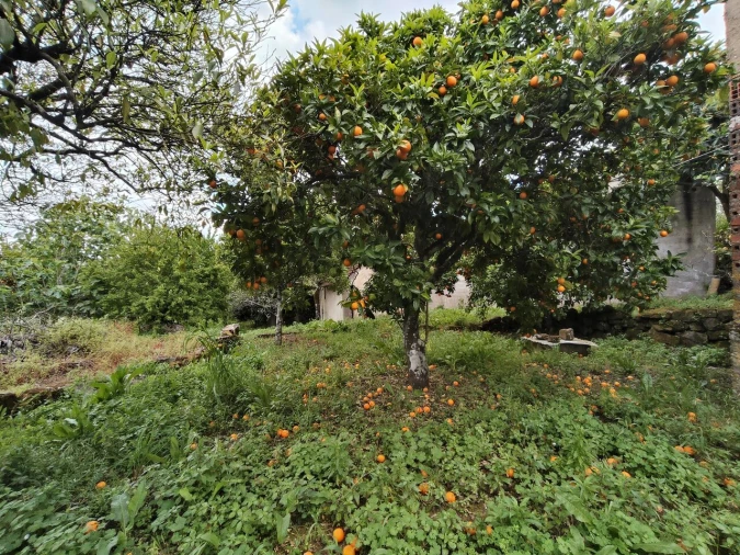 Moradia T5 para Venda em Chãos Foto 70