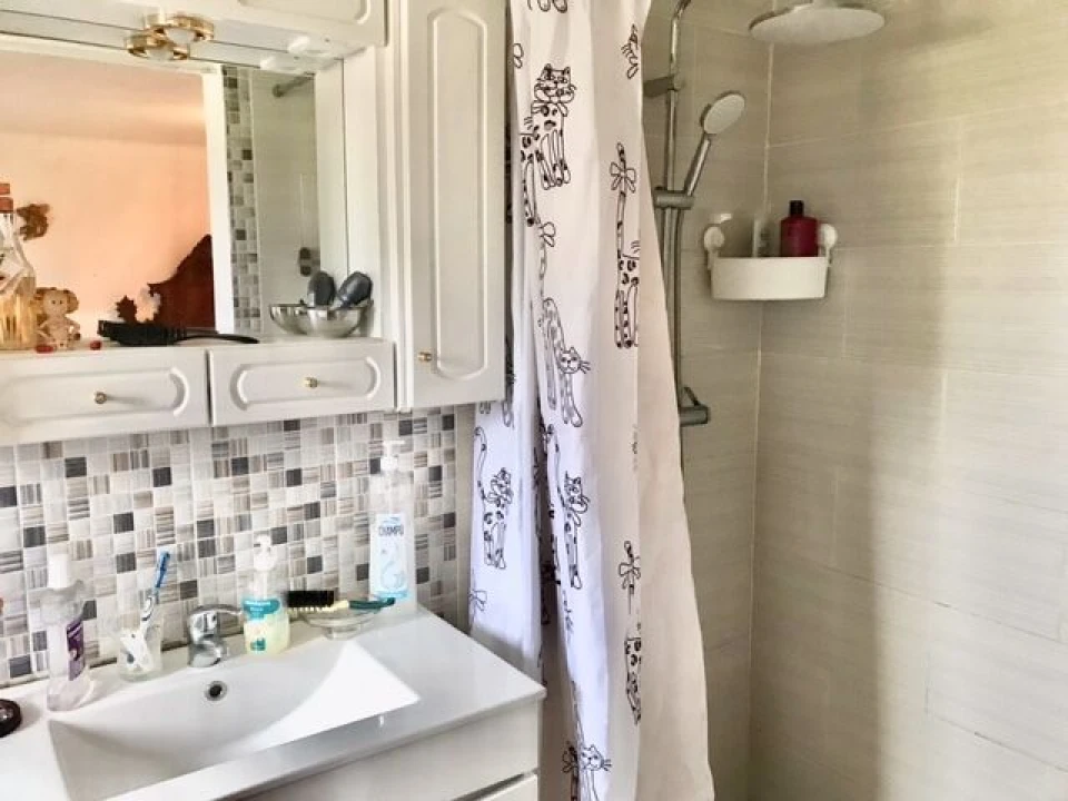 Quinta T4 para Venda em Alpiarça Foto 11