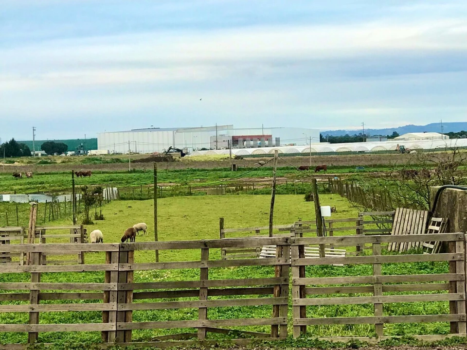 Quinta T4 para Venda em Alpiarça Foto 29