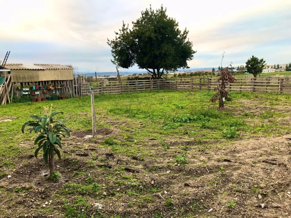 Quinta T4 para Venda em Alpiarça Foto 32