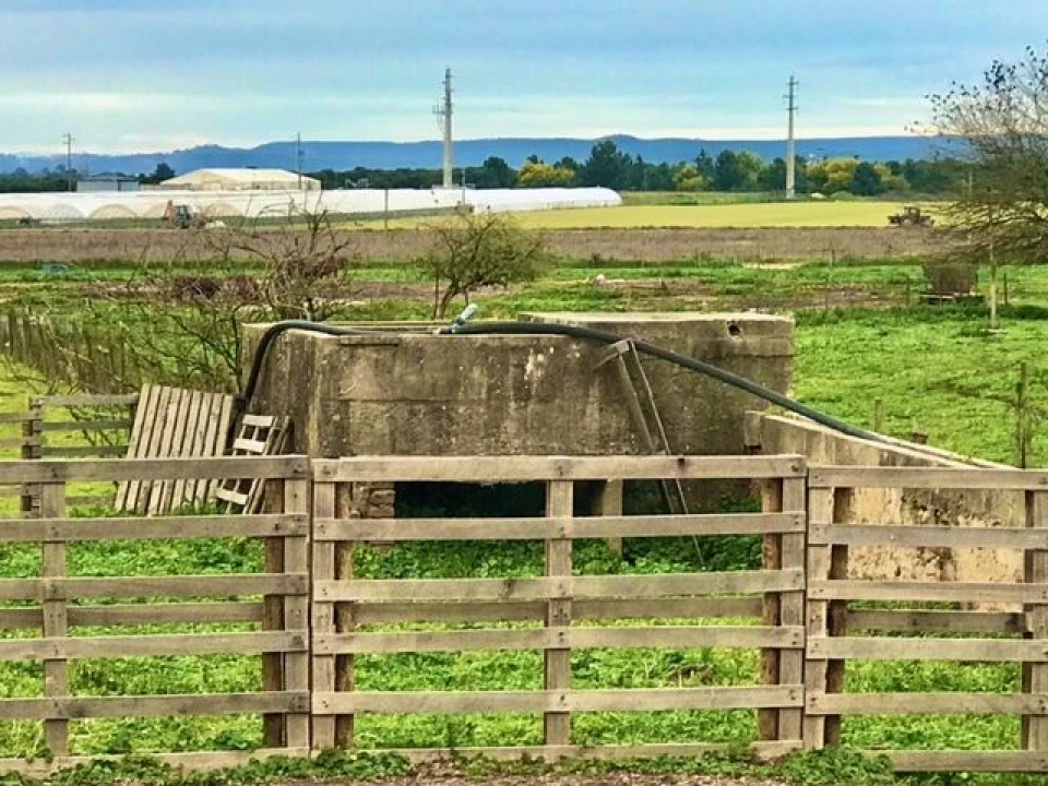 Quinta T4 para Venda em Alpiarça Foto 39