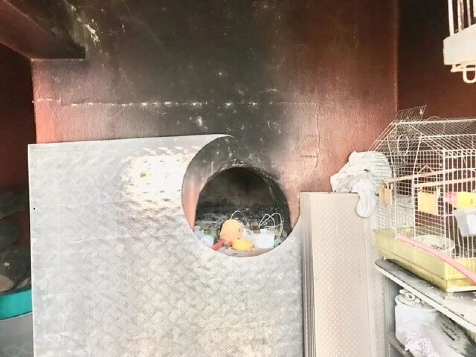 Quinta T4 para Venda em Alpiarça Foto 44