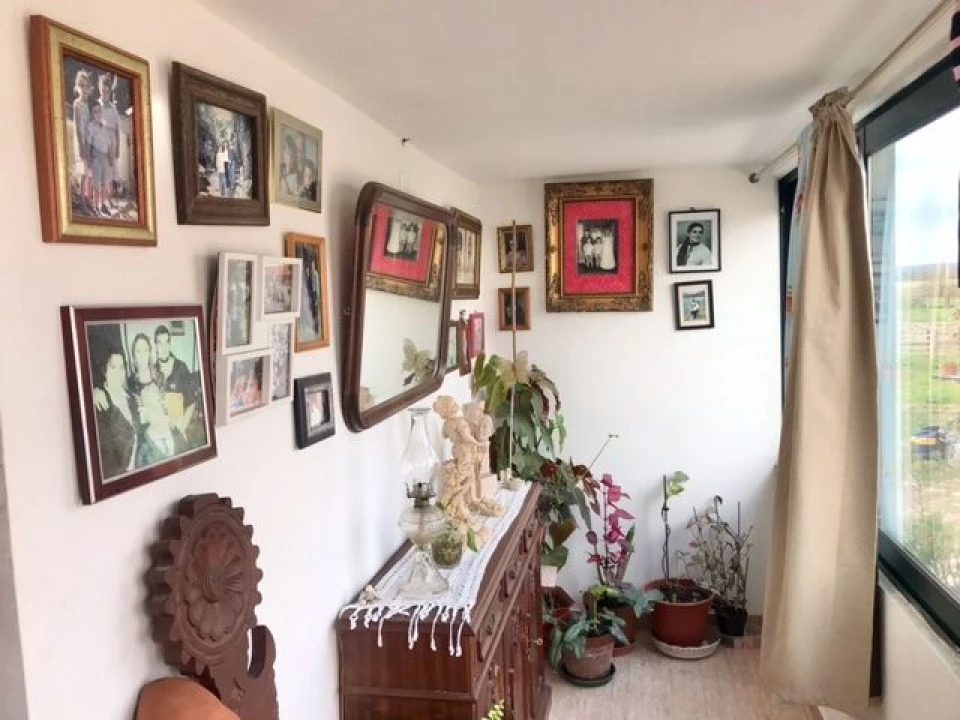 Quinta T4 para Venda em Alpiarça Foto 7