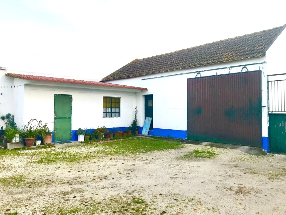 Quinta T4 para Venda em Alpiarça Foto 46