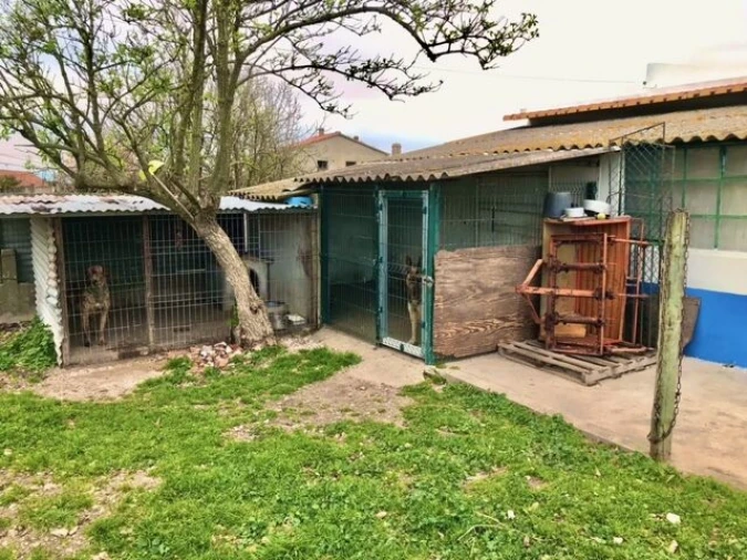 Quinta T4 para Venda em Alpiarça Foto 20