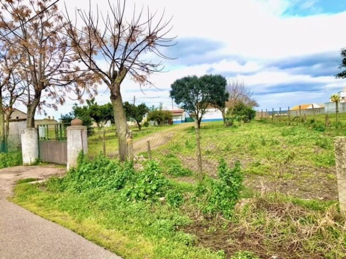 Quinta T4 para Venda em Alpiarça