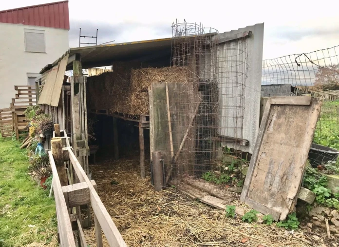 Quinta T4 para Venda em Alpiarça Foto 30