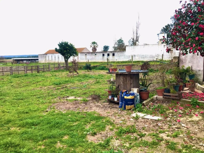 Quinta T4 para Venda em Alpiarça Foto 31