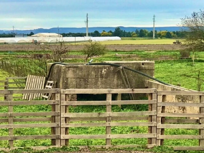 Quinta T4 para Venda em Alpiarça Foto 39