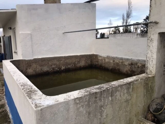 Quinta T4 para Venda em Alpiarça Foto 41