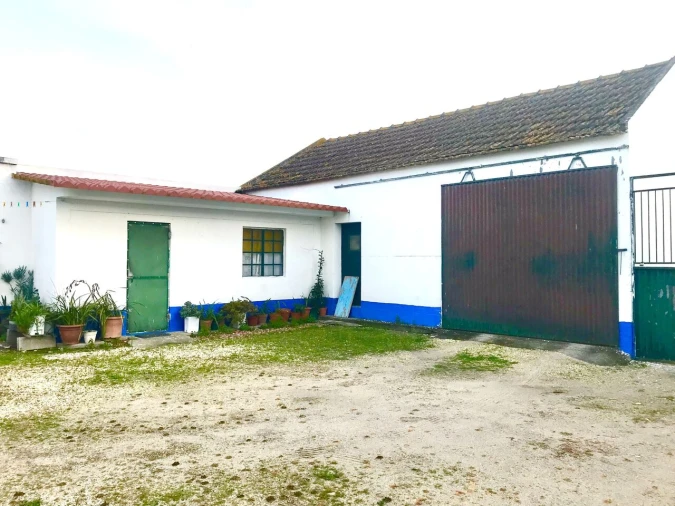 Quinta T4 para Venda em Alpiarça Foto 46