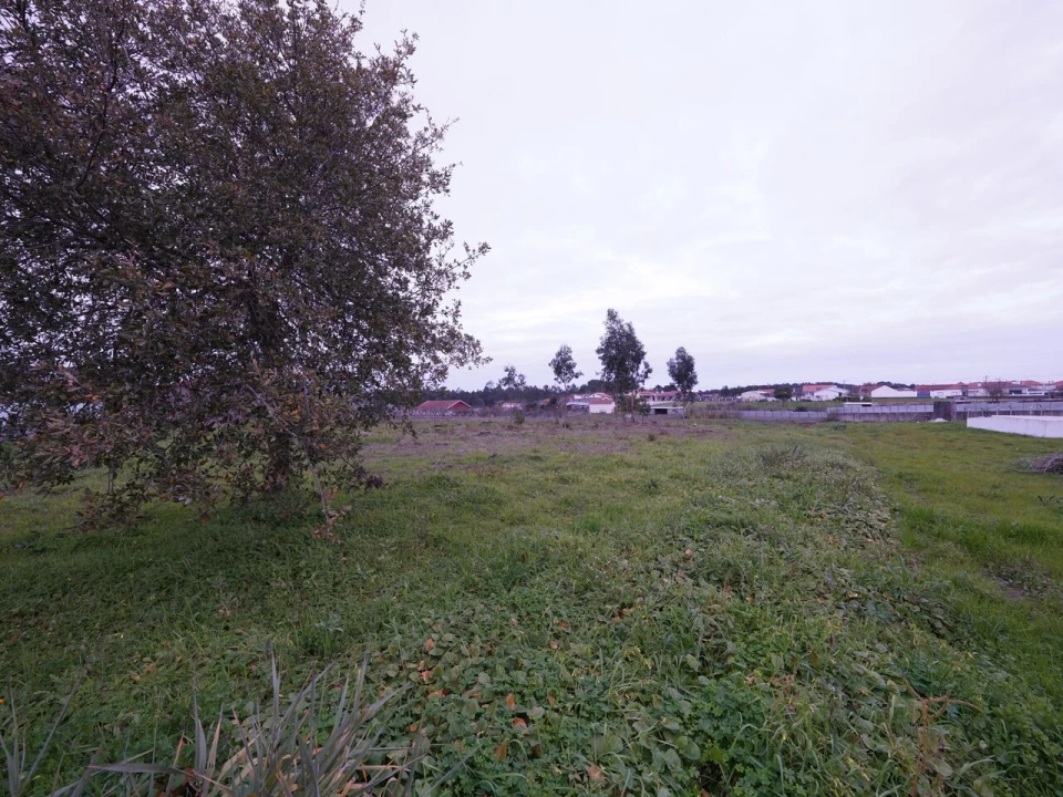 Terreno para Venda em Maceira Foto 2