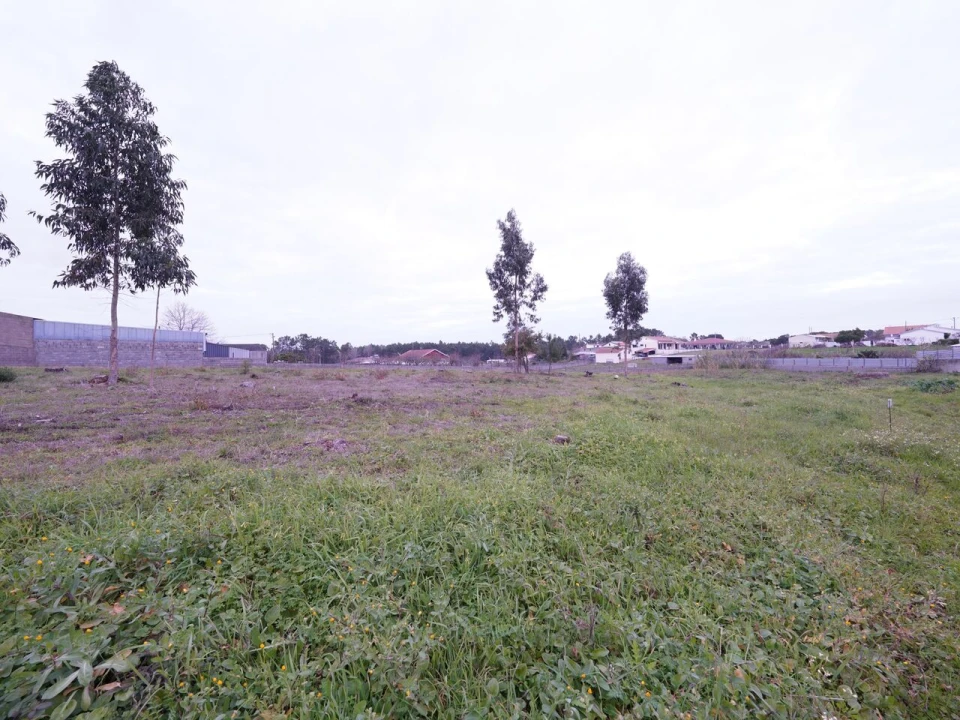 Terreno para Venda em Maceira Foto 1