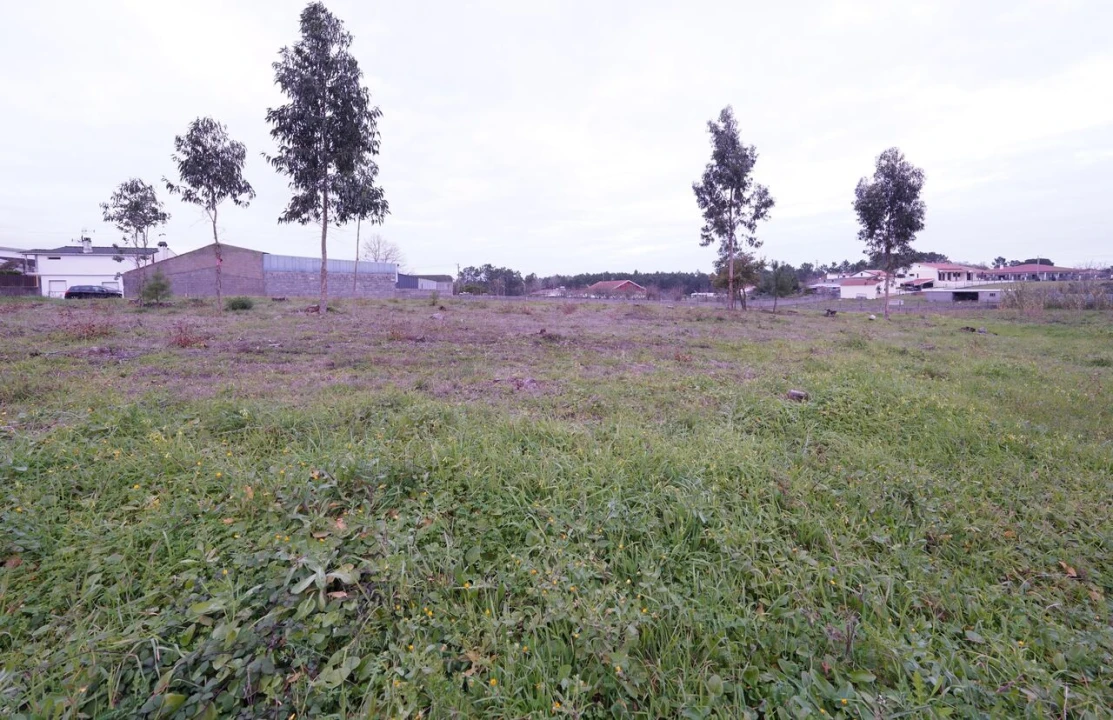 Terreno para Venda em Maceira Foto 6
