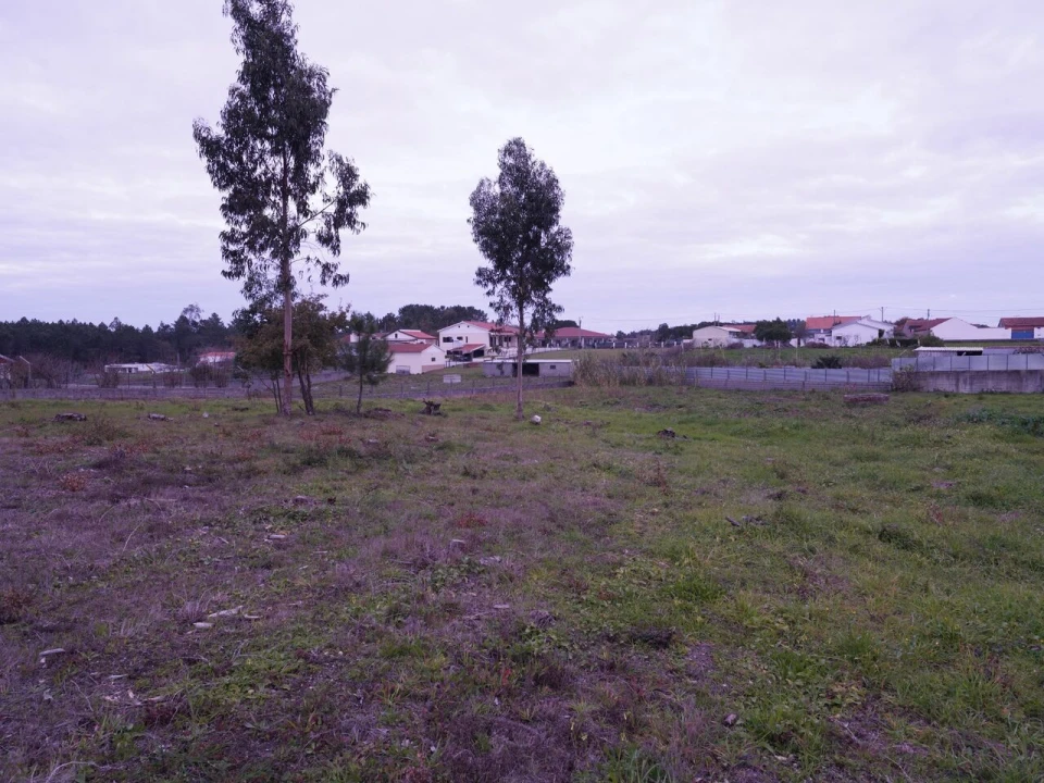 Terreno para Venda em Maceira Foto 7