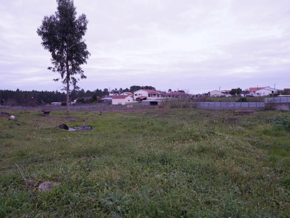 Terreno para Venda em Maceira Foto 9