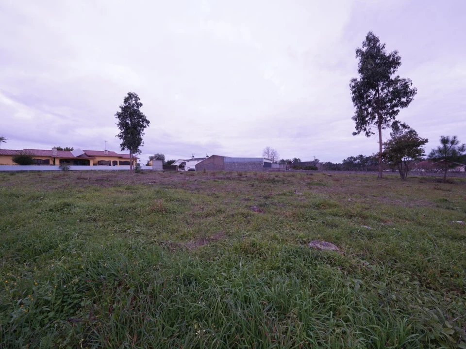 Terreno para Venda em Maceira Foto 10