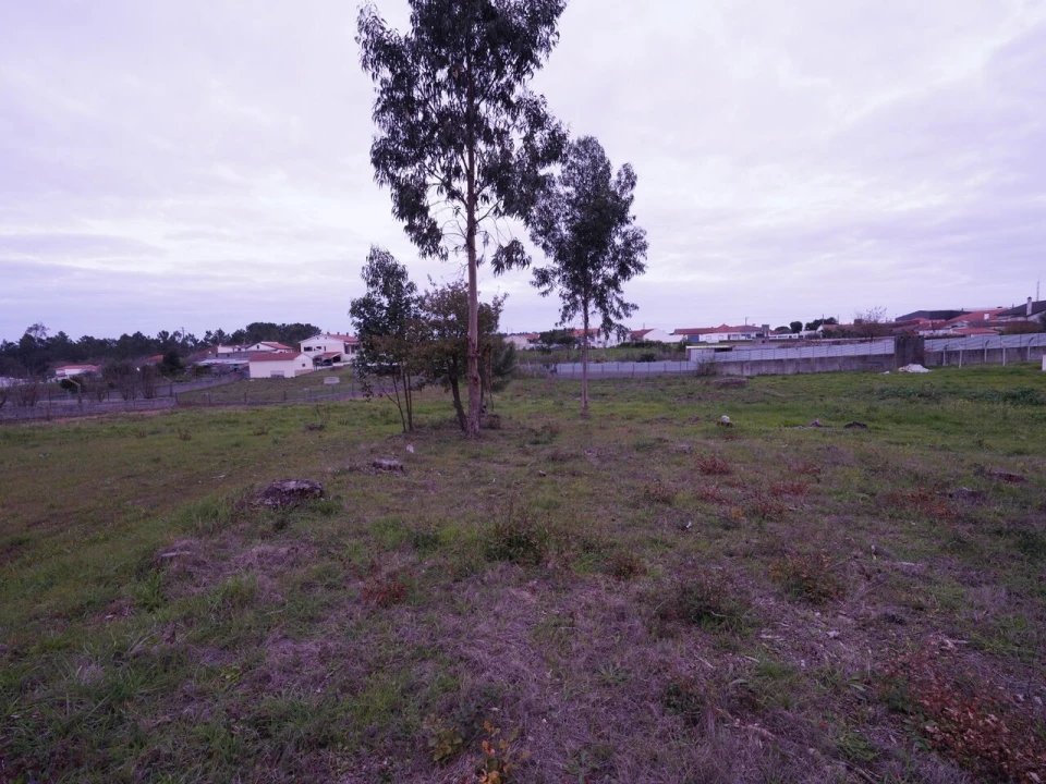 Terreno para Venda em Maceira Foto 13