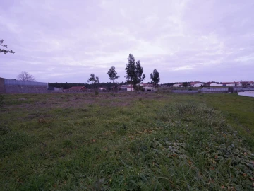 Terreno para Venda em Maceira