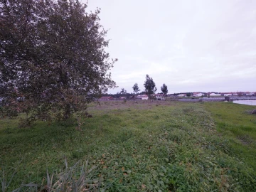 Terreno para Venda em Maceira