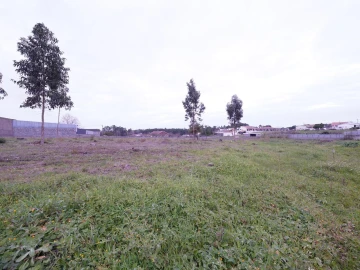 Terreno para Venda em Maceira