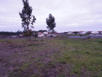 Terreno para Venda em Maceira