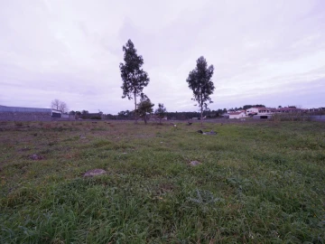 Terreno para Venda em Maceira