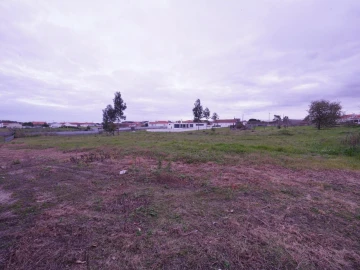 Terreno para Venda em Maceira