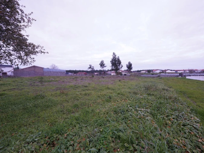 Terreno para Venda em Maceira Foto 3