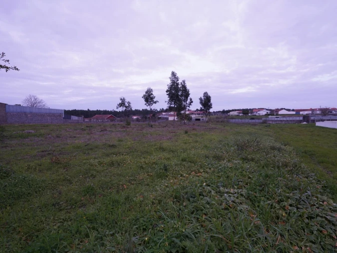 Terreno para Venda em Maceira Foto 5