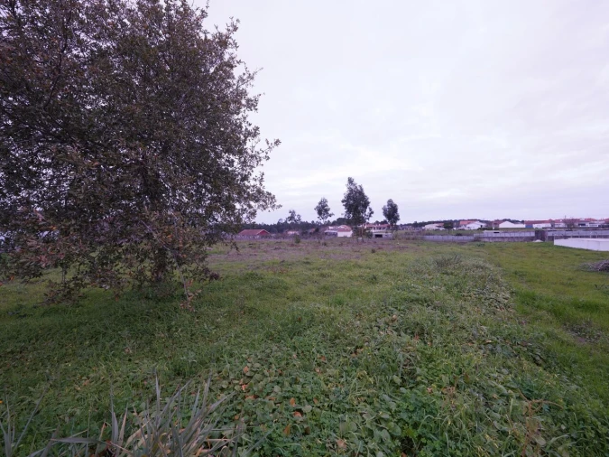 Terreno para Venda em Maceira Foto 2