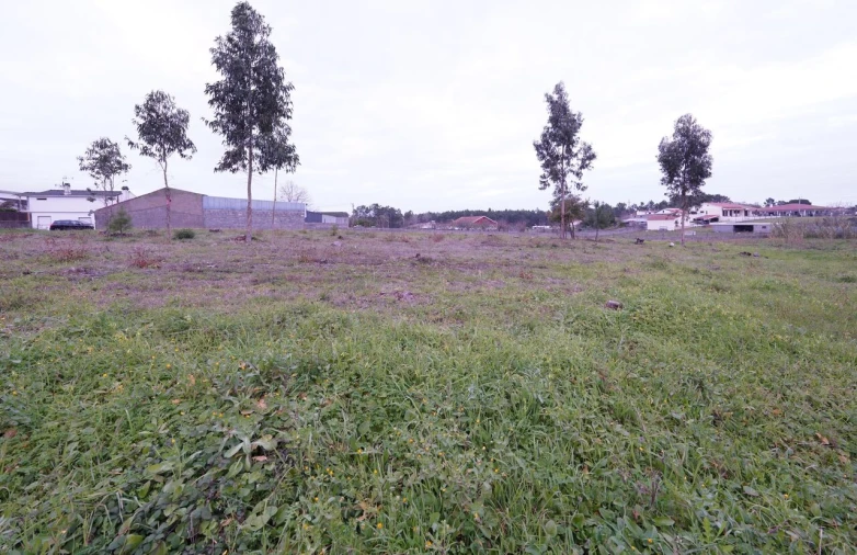 Terreno para Venda em Maceira Foto 6