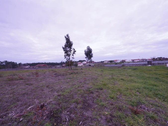 Terreno para Venda em Maceira Foto 8