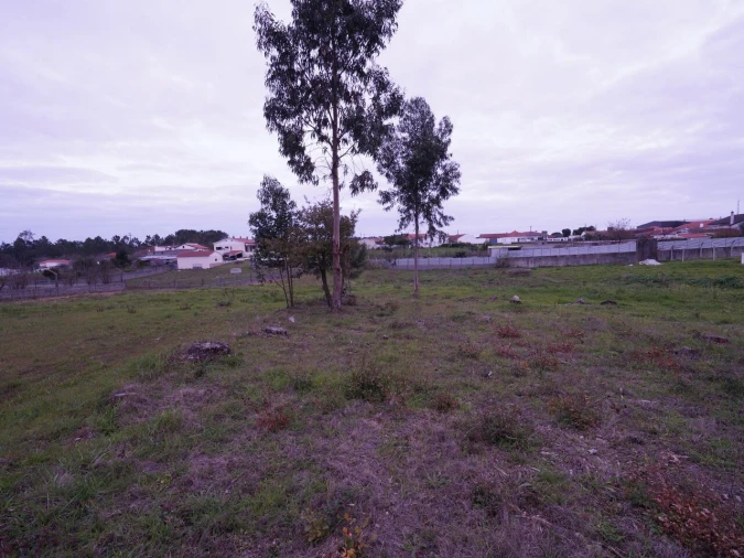Terreno para Venda em Maceira Foto 13