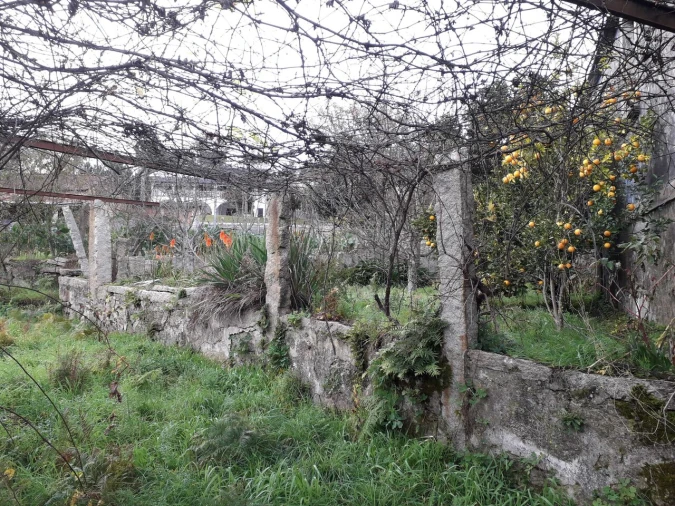 Moradia T2 para Venda em Pias Foto 4