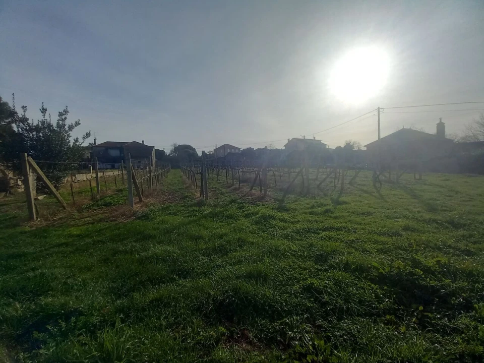 Moradia T4 para Venda em Barbeita Foto 20