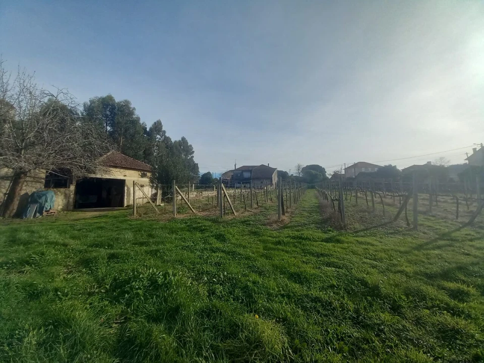 Moradia T4 para Venda em Barbeita Foto 21