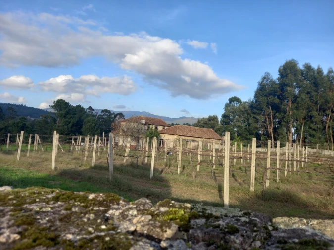 Moradia T4 para Venda em Barbeita Foto 25