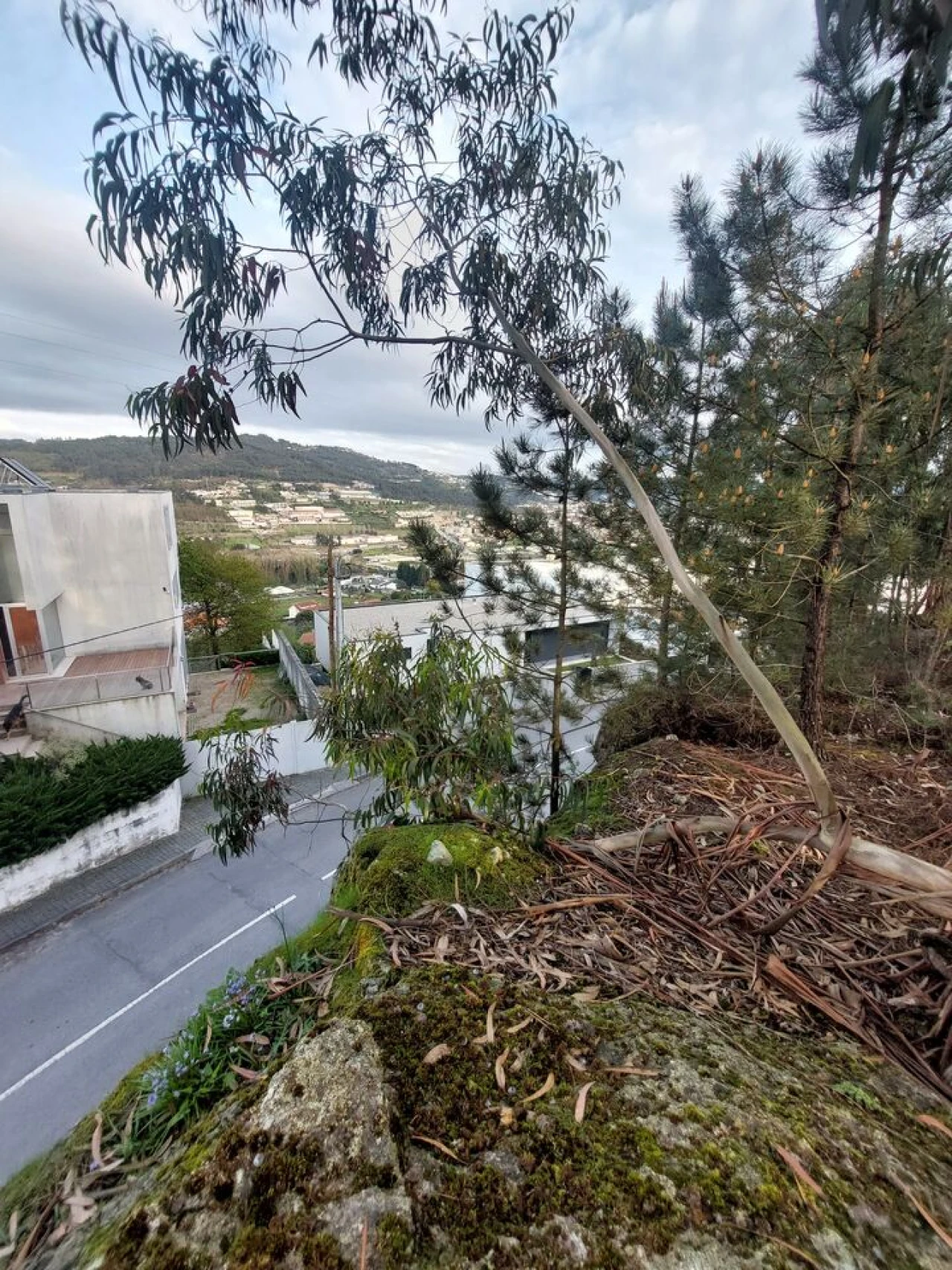 Terreno para Venda em Infias Foto 2