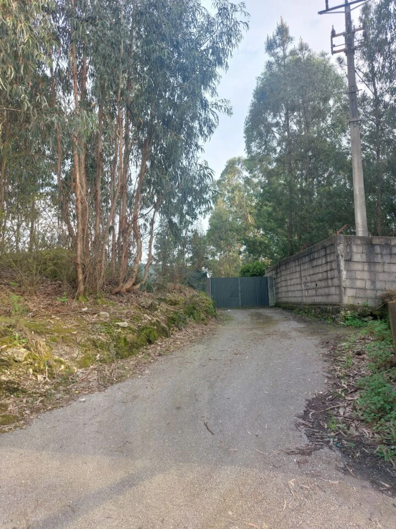 Terreno para Venda em Infias Foto 8