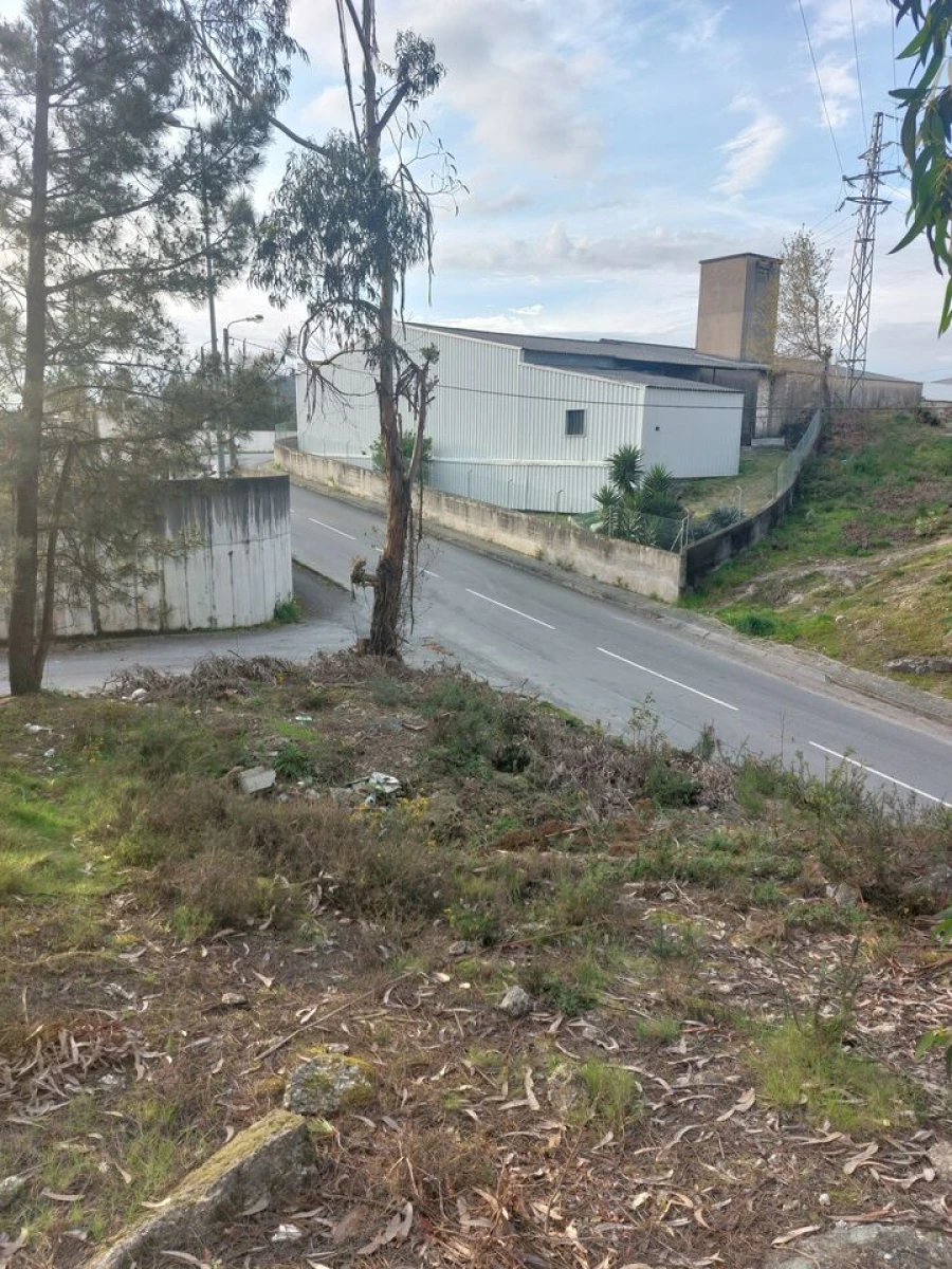 Terreno para Venda em Infias Foto 5