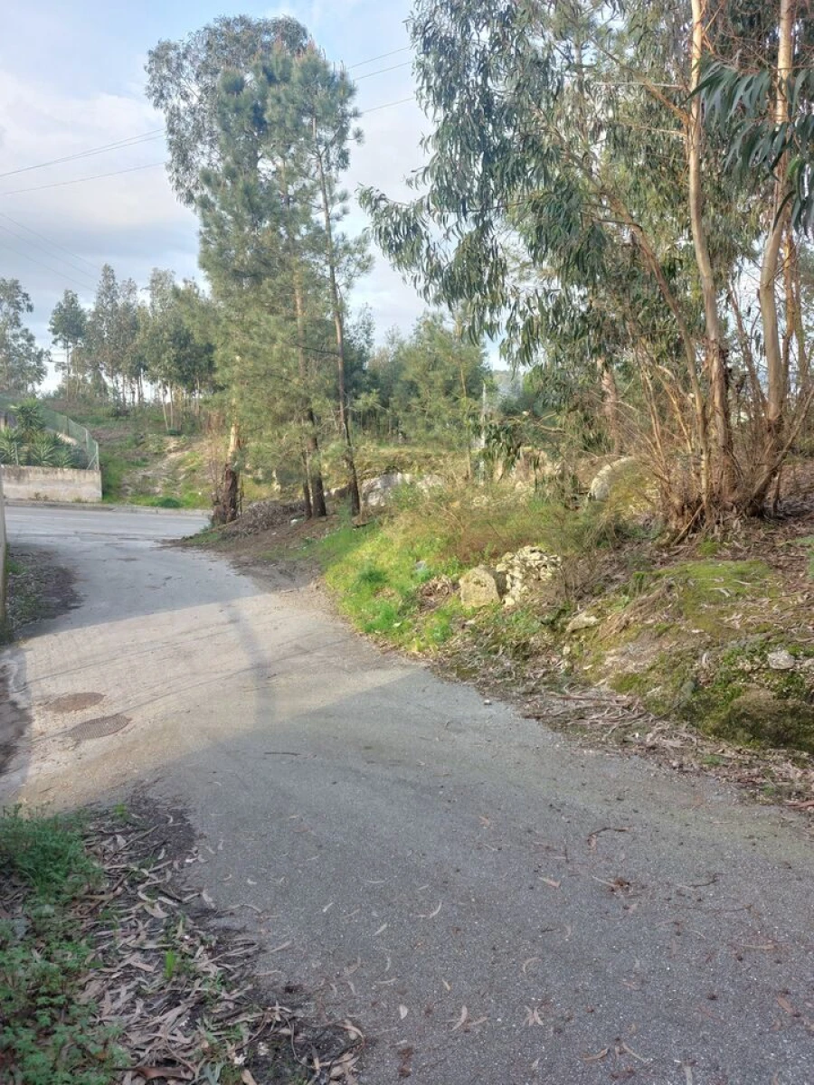 Terreno para Venda em Infias Foto 6