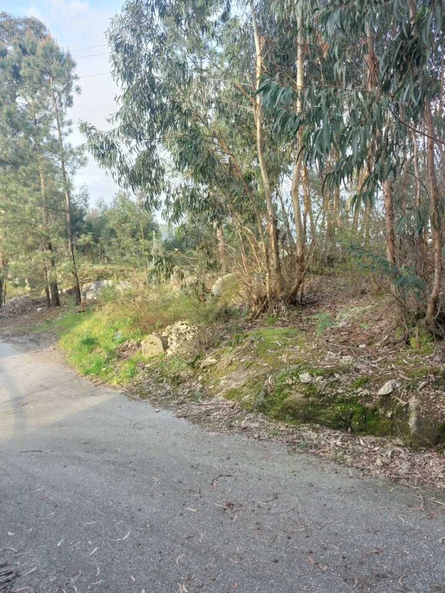 Terreno para Venda em Infias Foto 7