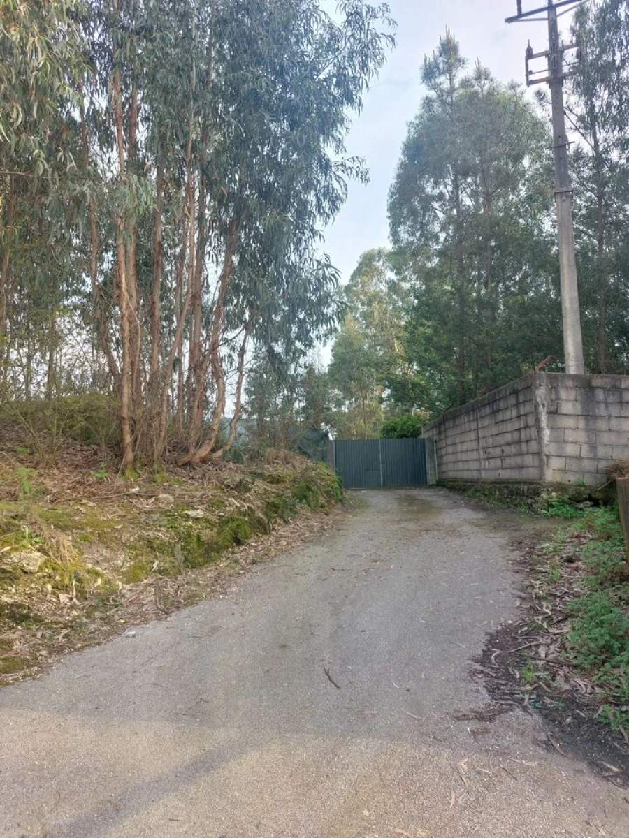 Terreno para Venda em Infias Foto 8