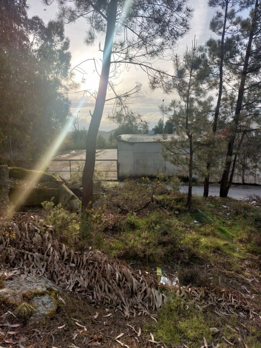 Terreno para Venda em Infias Foto 9