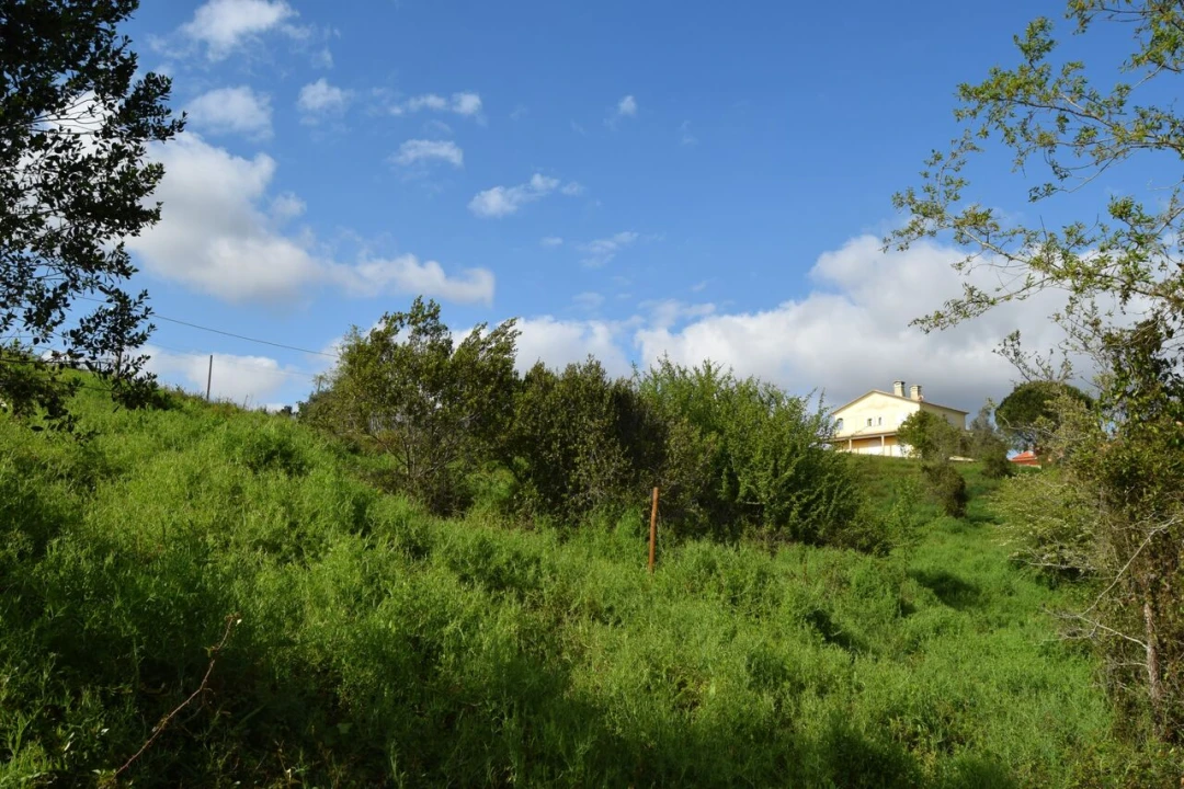 Terreno para Venda em Almalagues Foto 11