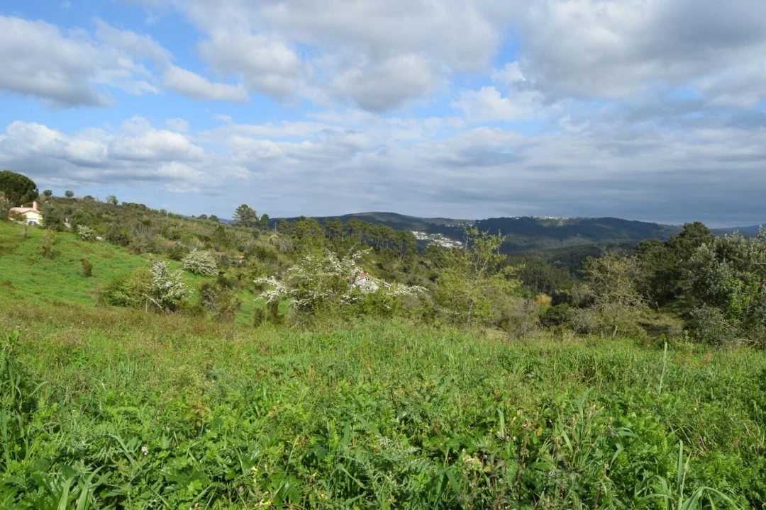 Terreno para Venda em Almalagues Foto 15