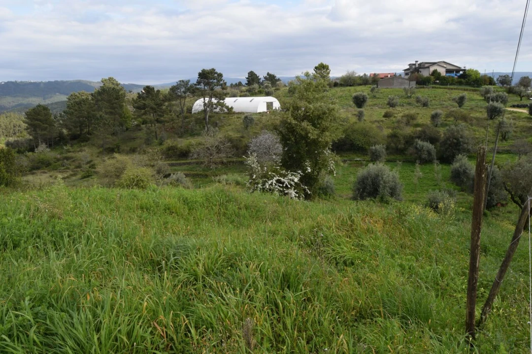 Terreno para Venda em Almalagues Foto 17