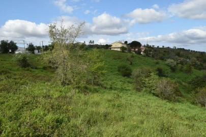 Terreno para Venda em Almalagues